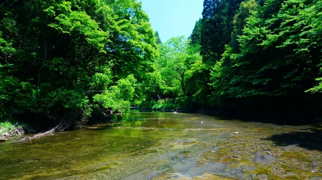 養老渓谷