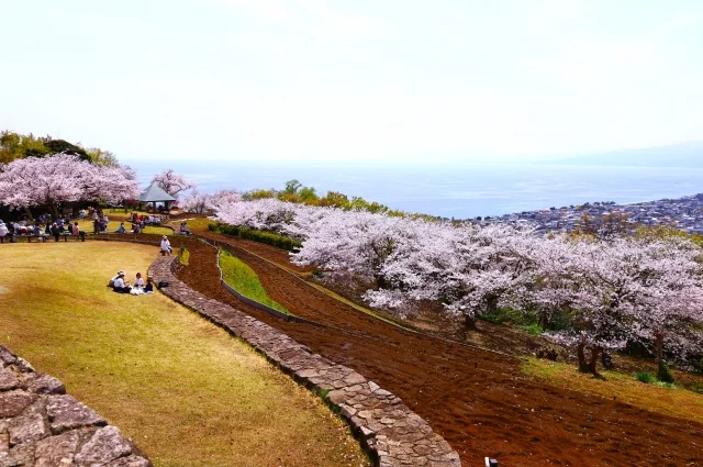 吾妻山公園