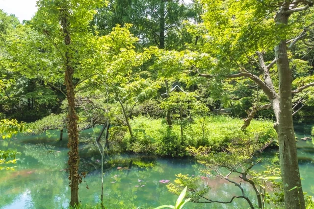 深大寺 2
