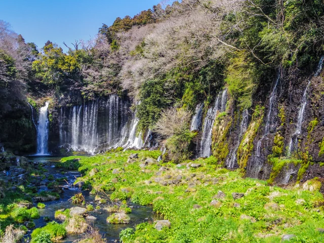白糸の滝