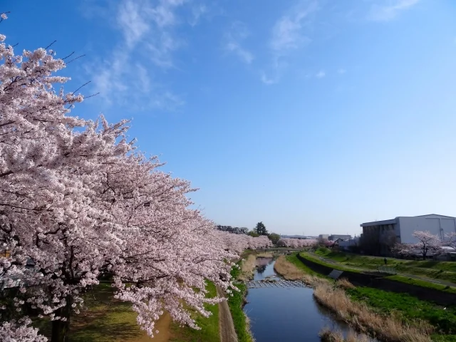 浅川 2