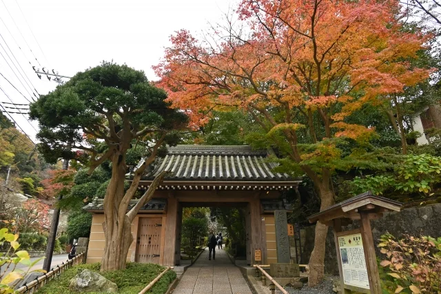 報国寺 2