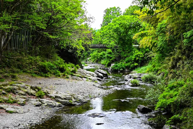 嵐山渓谷