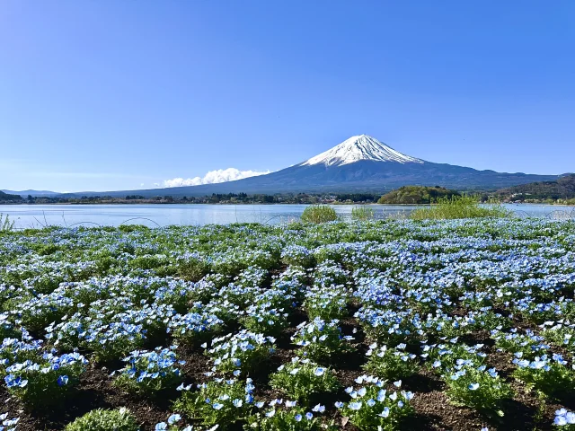 河口湖