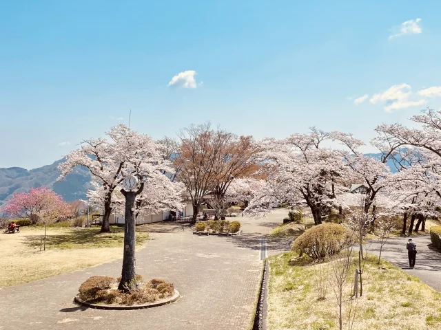 美の山公園