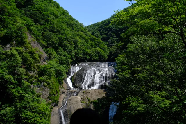 袋田の滝