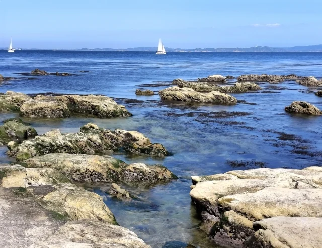 燈明堂海岸