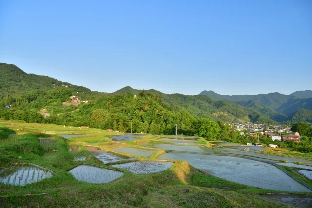寺坂棚田