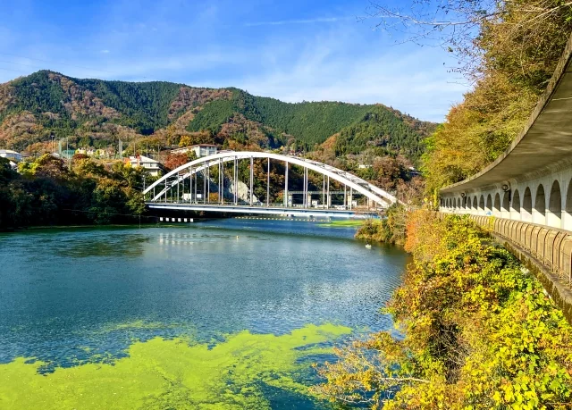 相模湖